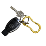 Signature Carabiner Gold