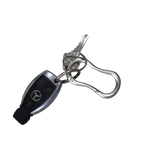 Signature Carabiner Silver